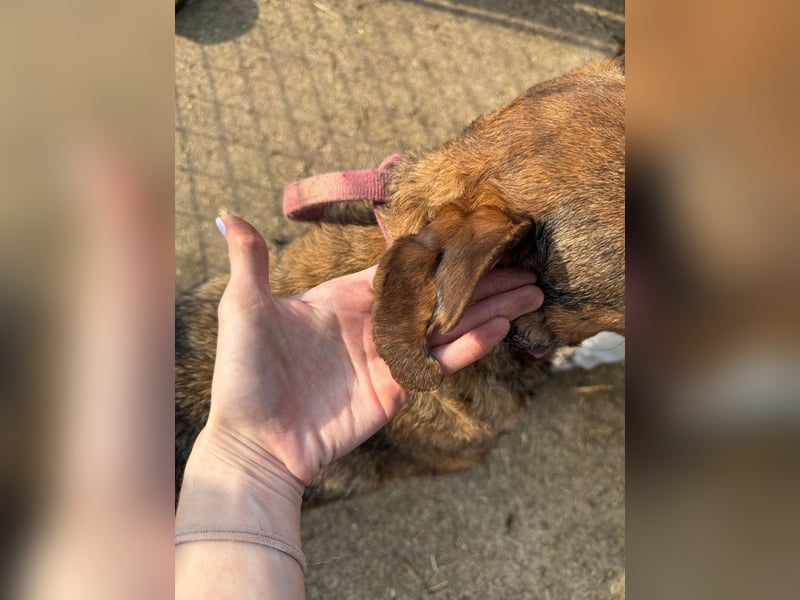 Férko möchte zeigen, was in ihm steckt