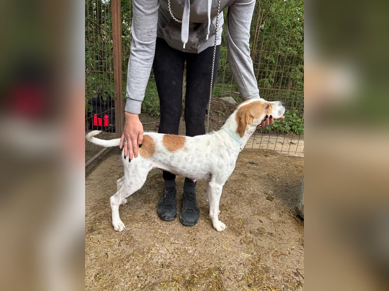 Leila sucht Familie