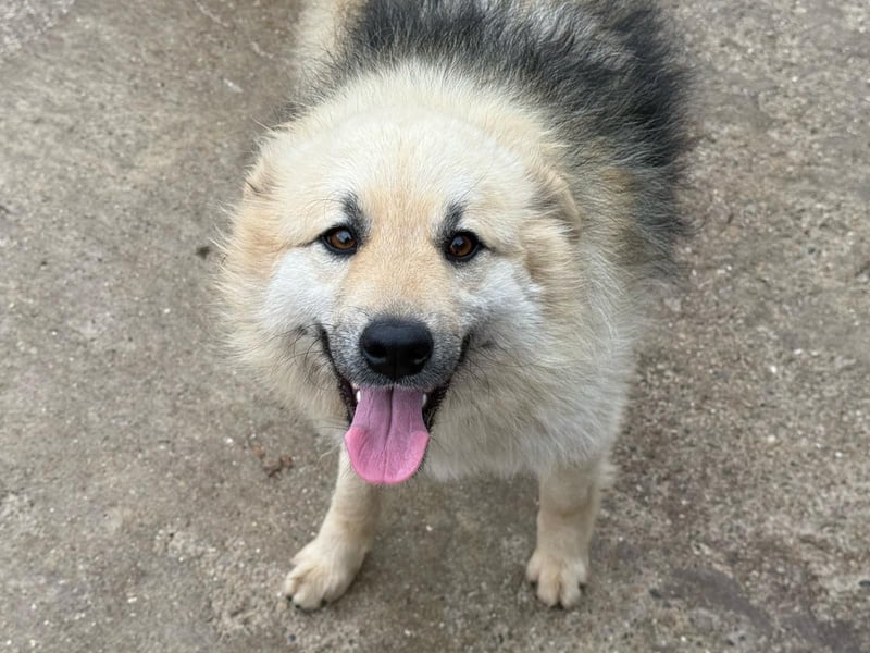 Hübsche Frieda sucht ihr Zuhause