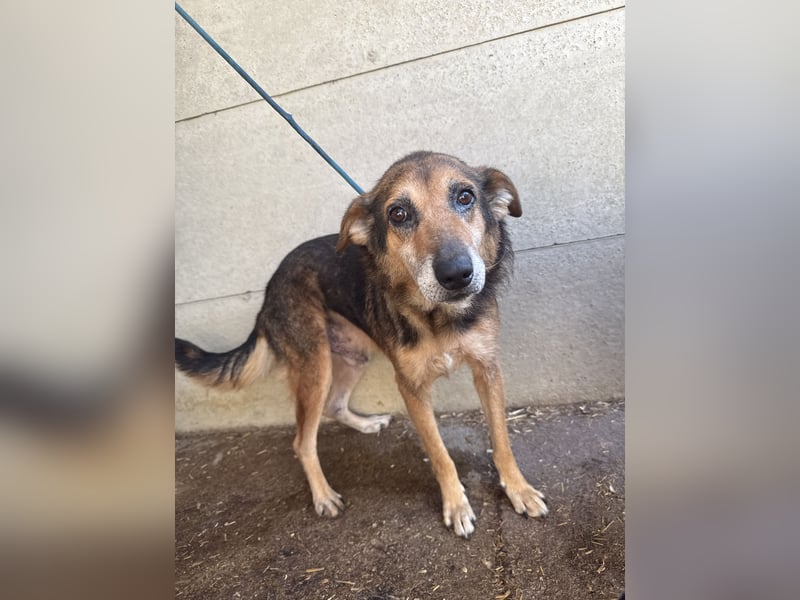 Gáspár möchte endlich ankommen