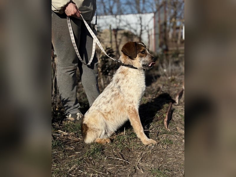Eliot sucht seine Herzensmenschen