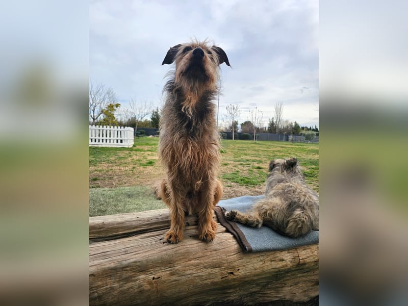 HAPPY ❤️ Name = Programm, Pflegefamilie Köln