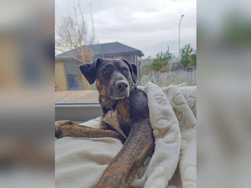 Aktive Pina wartet in 52385 Nideggen auf ihr Happy End!