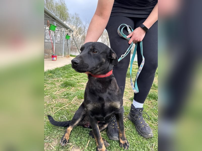 Frederico sucht einen Sportpartner