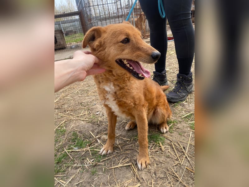 Kajla möchte endlich glücklich sein