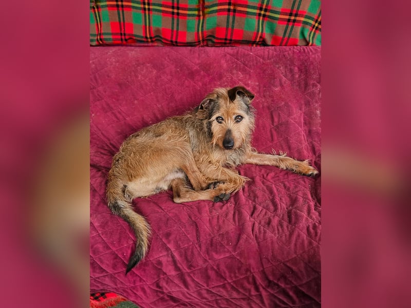 HAPPY ❤️ Name = Programm, Pflegefamilie Köln
