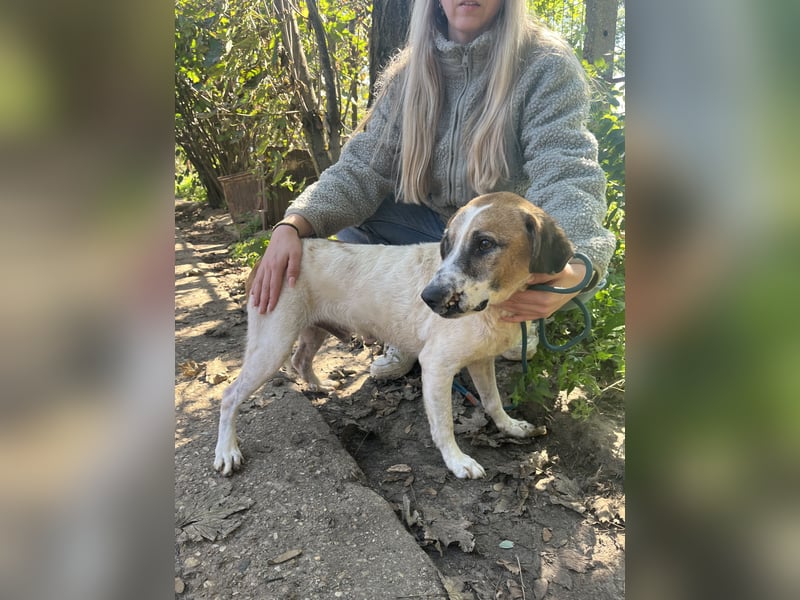 Bounty ist ein treuer Begleiter fürs Leben