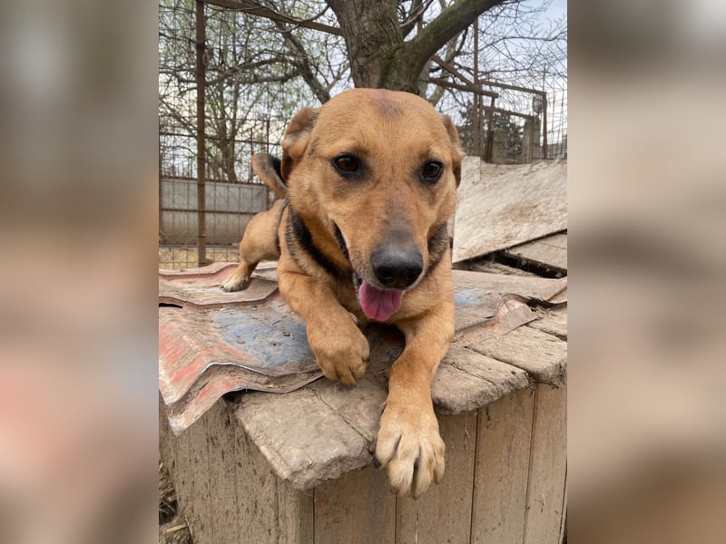 Zengö wartet auf ihr Happy End