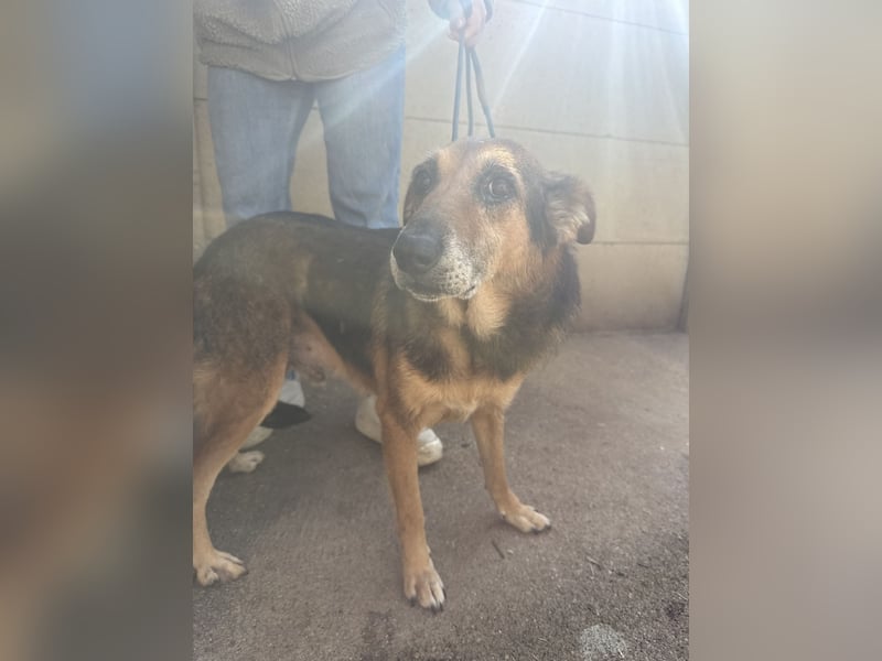 Gáspár möchte endlich ankommen