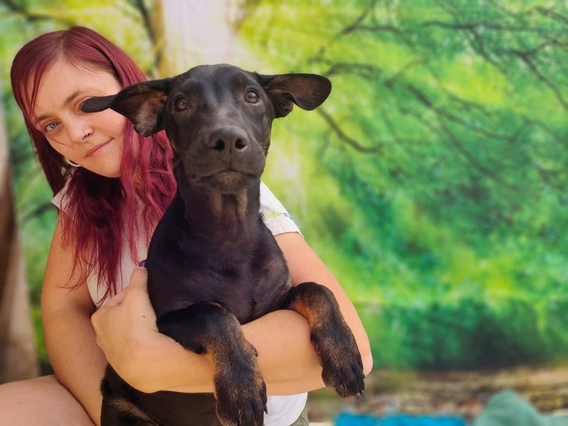 Frederico sucht einen Sportpartner