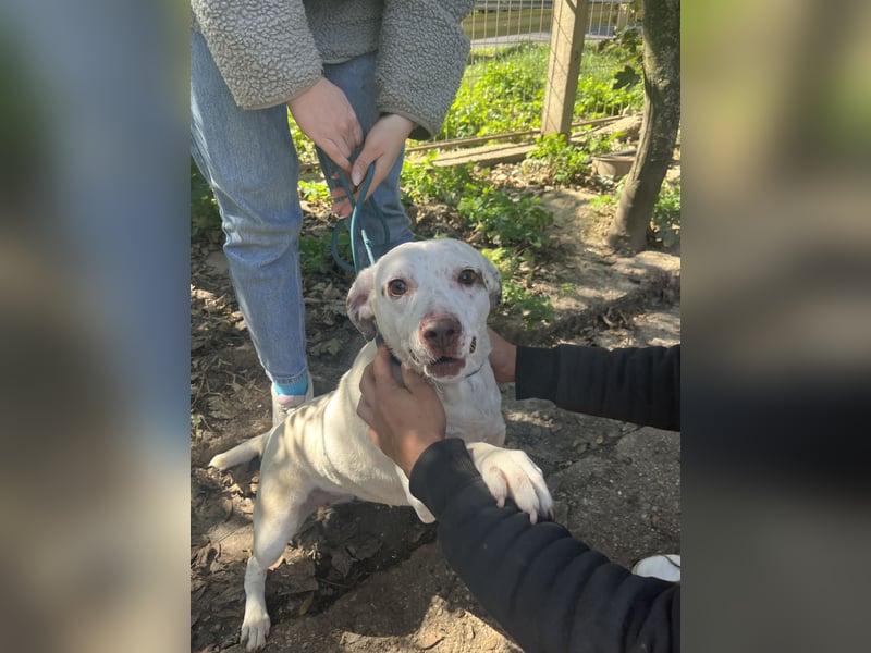 Ildike - hast du noch Platz im Herzen?