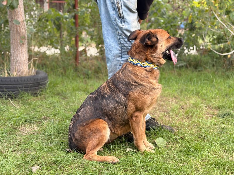 Mery wartet jeden Tag auf ihr Glück