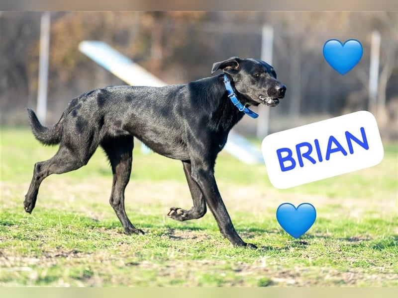 Black is beautiful- Brian Traumrüde möchte Bulgarien ganz schnell verlassen