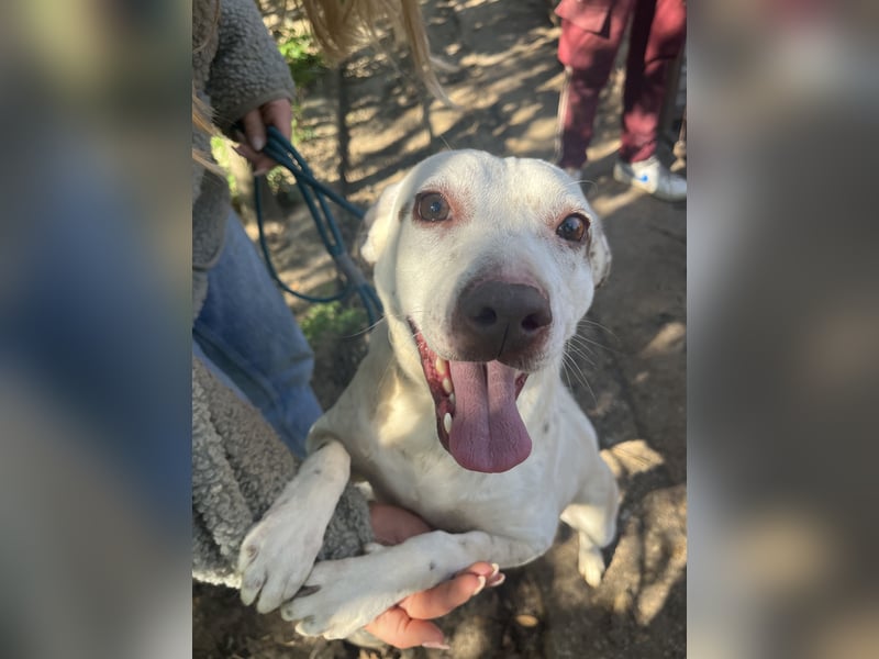 Ildike - hast du noch Platz im Herzen?