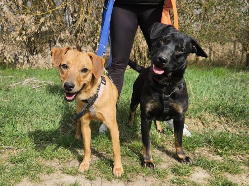 Frederico sucht einen Sportpartner