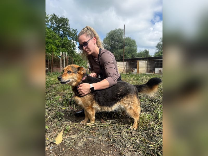 Rubina sucht ihren Menschen