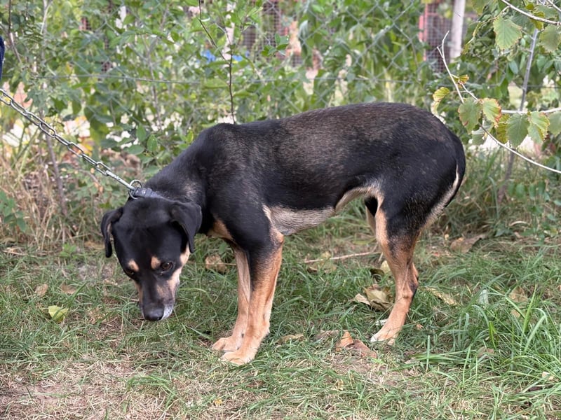 Malna - Möchte Teil deiner Familie werden!