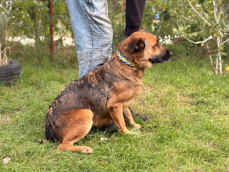 Mery wartet jeden Tag auf ihr Glück