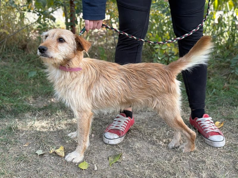 Norman möchte seinen ersten warmen Winter erleben