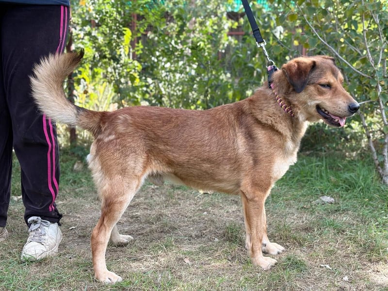 Nimer möchte endlich ankommen