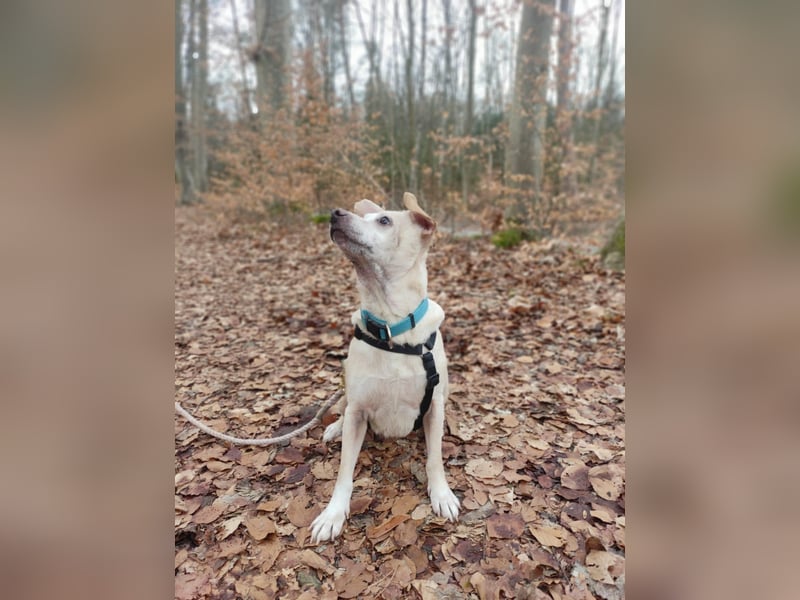 Pepe wartet in Augsburg