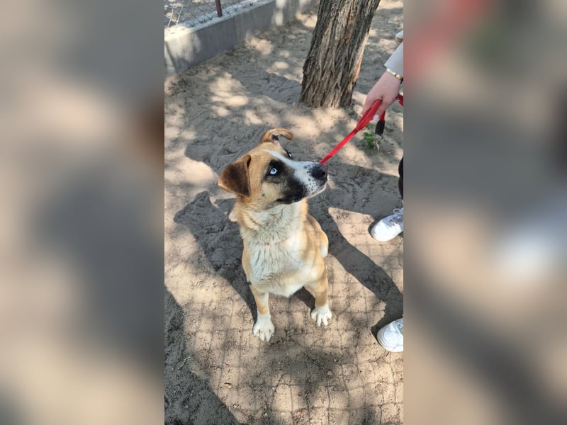 Shirley sucht seinen Platz