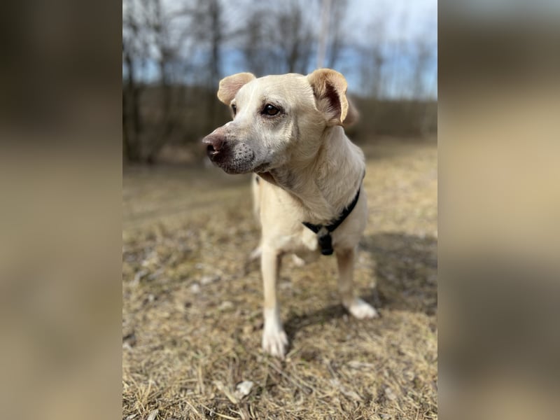 Pepe wartet in Augsburg