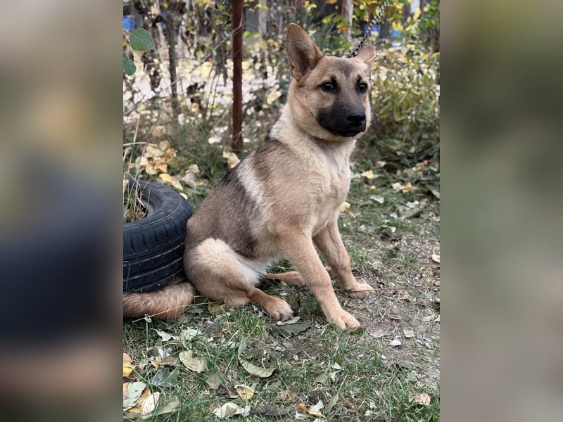 Lita träumt von einem eigenen Zuhause