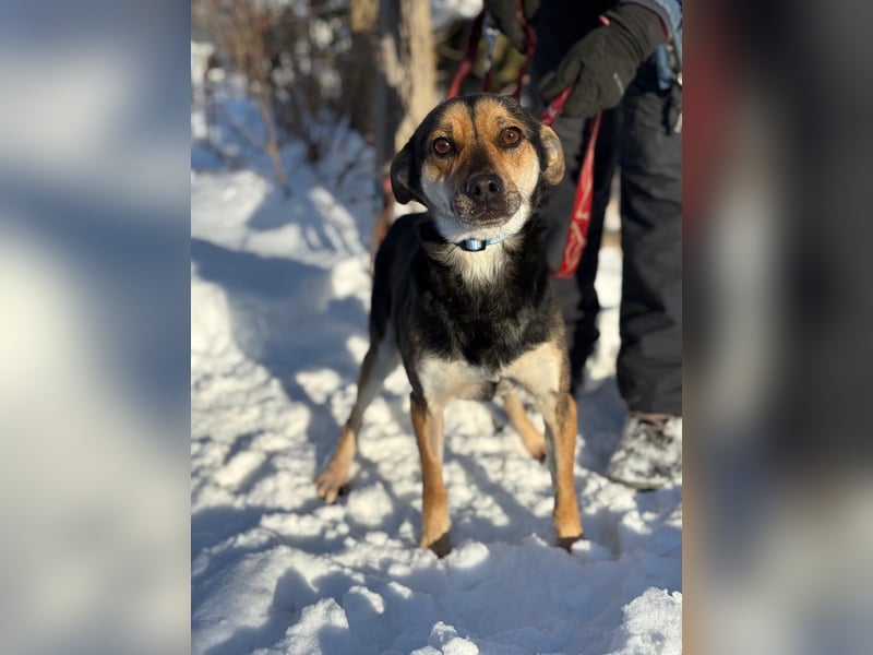 Alek möchte endlich ankommen