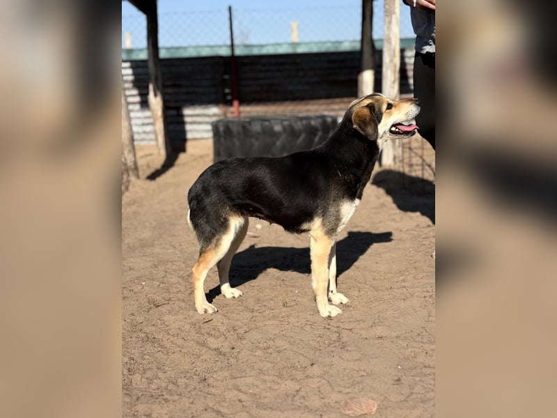 Mena träumt von einem eigenen Zuhause