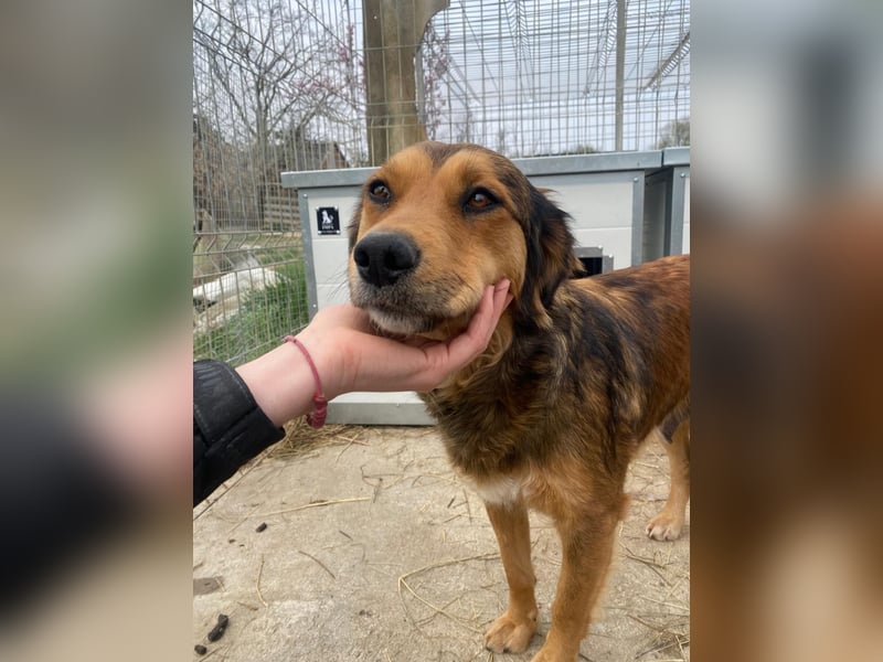 Fiona möchte endlich glücklich sein