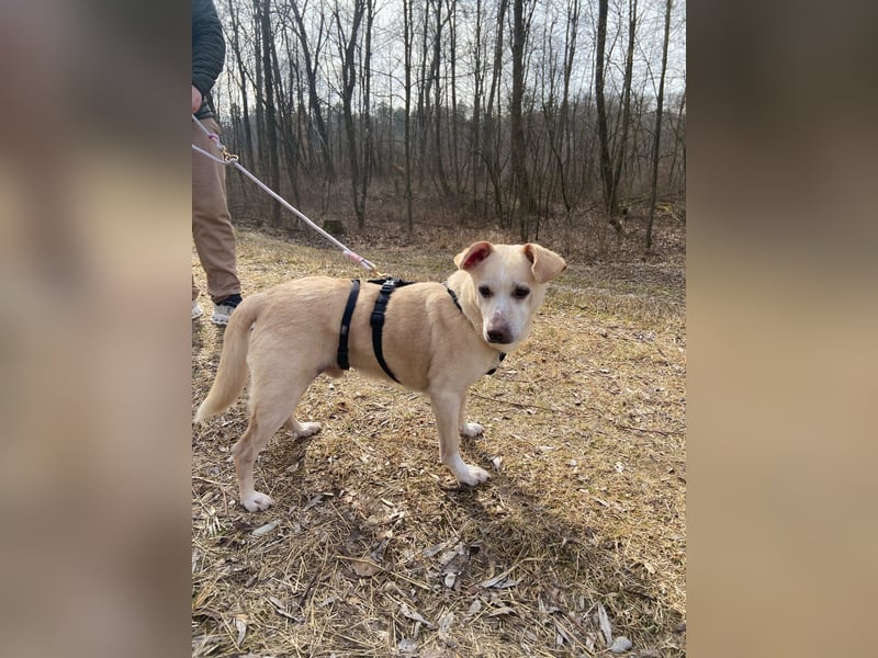 Pepe wartet in Augsburg