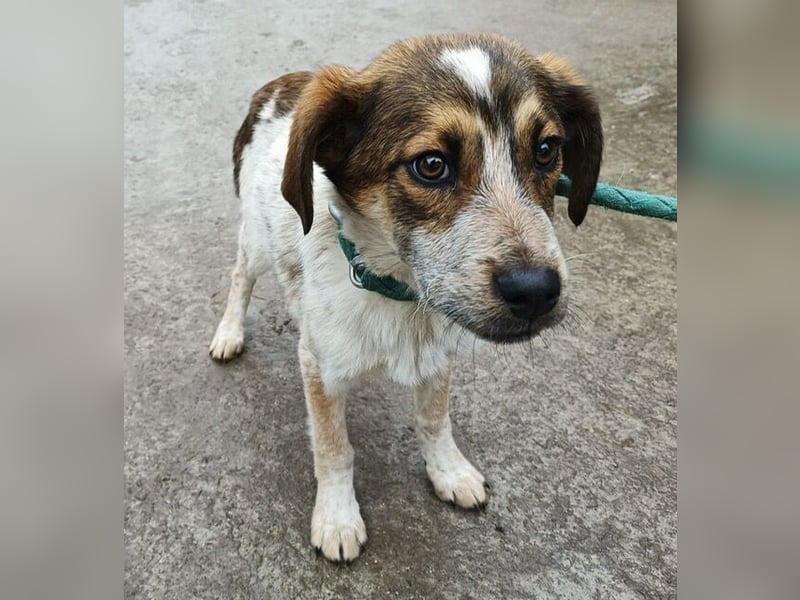 Eliot sucht seine Herzensmenschen