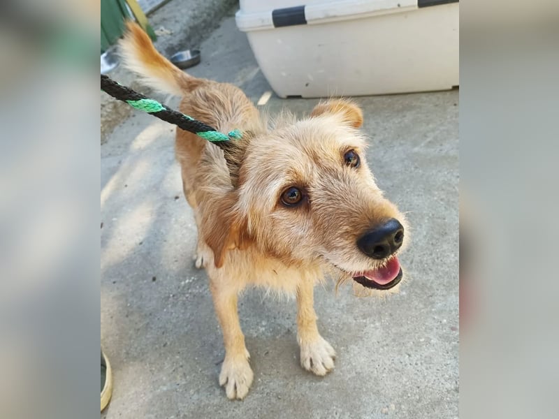 Norman möchte seinen ersten warmen Winter erleben