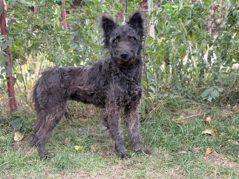 Zelmira sucht ihre Menschen