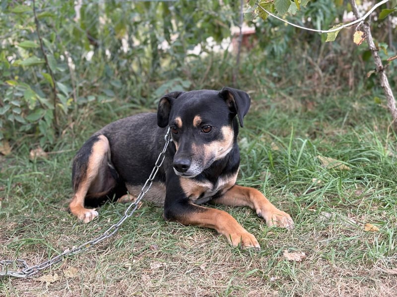 Malna - Möchte Teil deiner Familie werden!