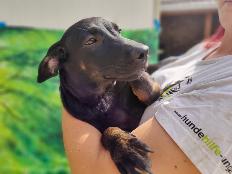 Frederico sucht einen Sportpartner