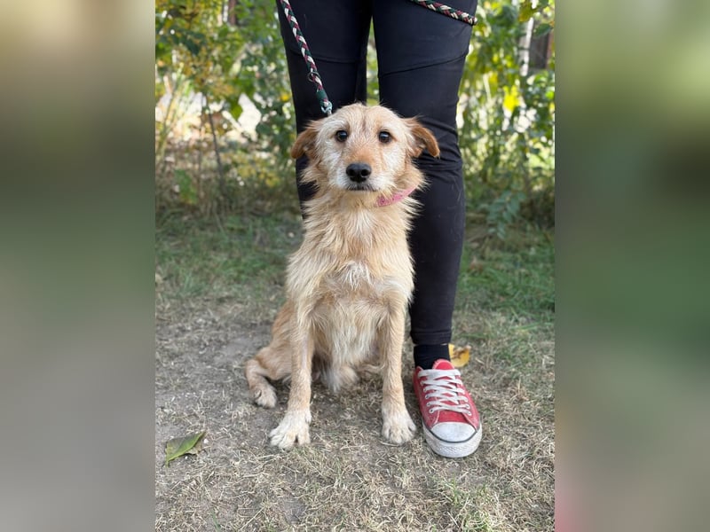 Norman möchte seinen ersten warmen Winter erleben