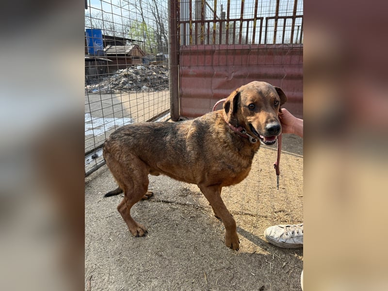 Férko möchte zeigen, was in ihm steckt