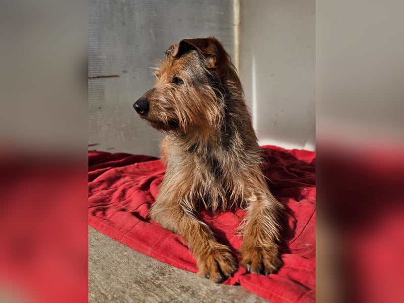 HAPPY ❤️ Name = Programm, Pflegefamilie Köln