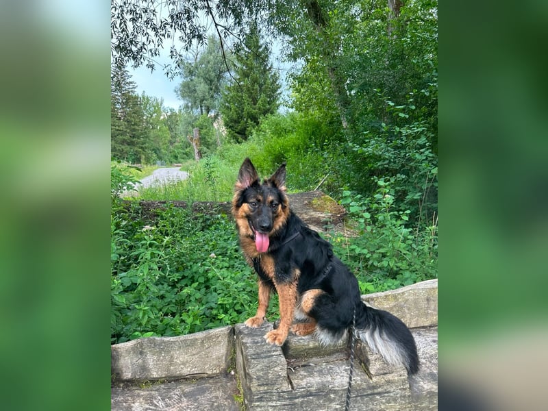 Engel Talih sucht dringend seine neue Familie