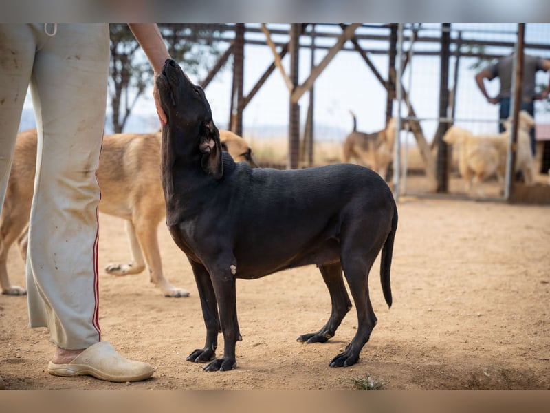 Mereda - aktiv und liebevoll