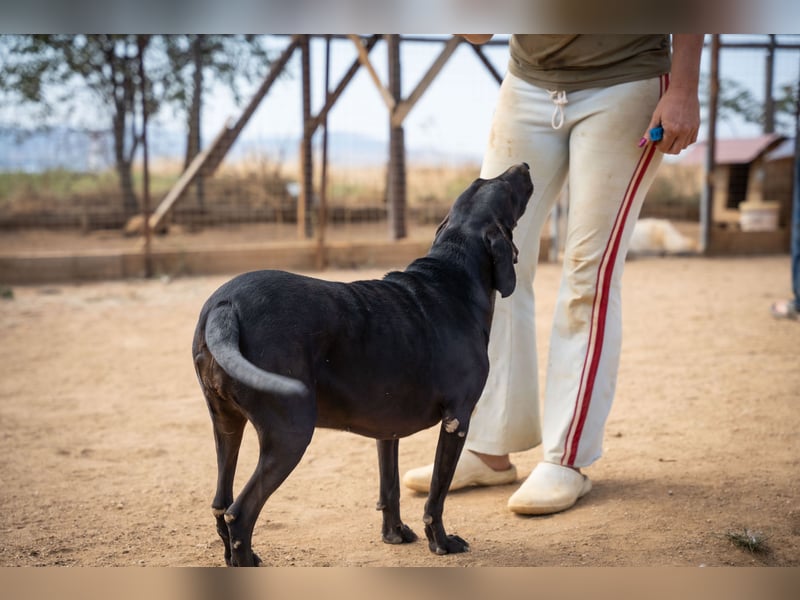 Mereda - aktiv und liebevoll