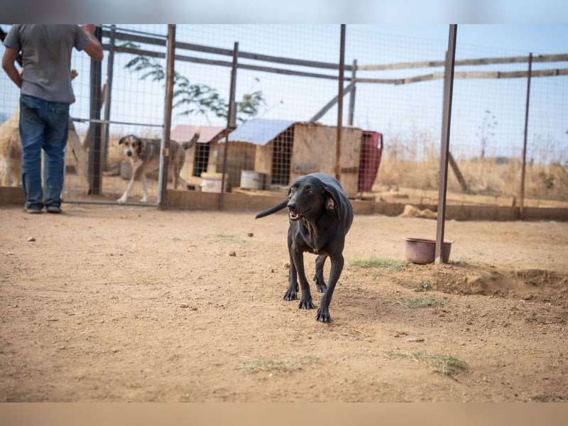 Mereda - aktiv und liebevoll