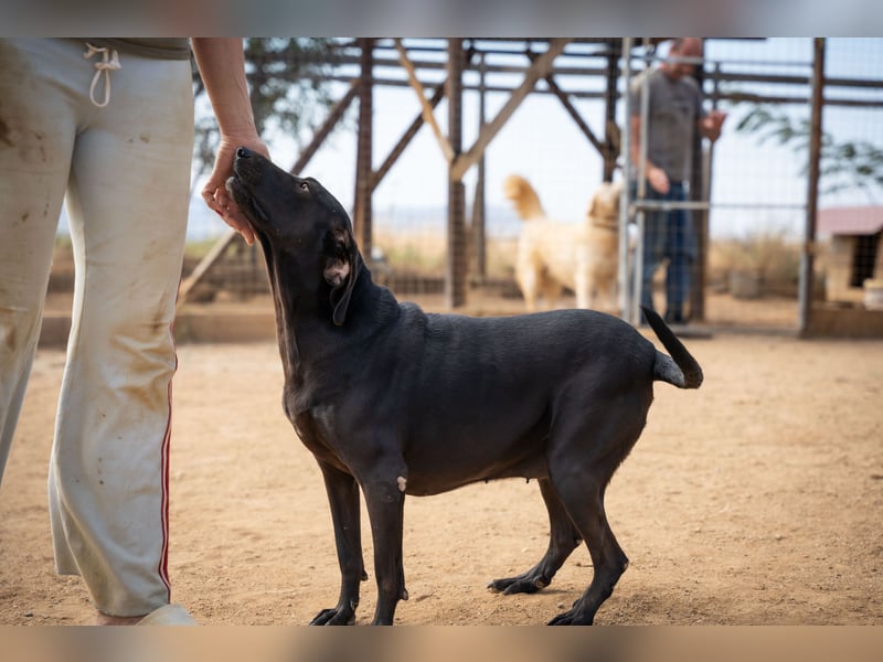 Mereda - aktiv und liebevoll