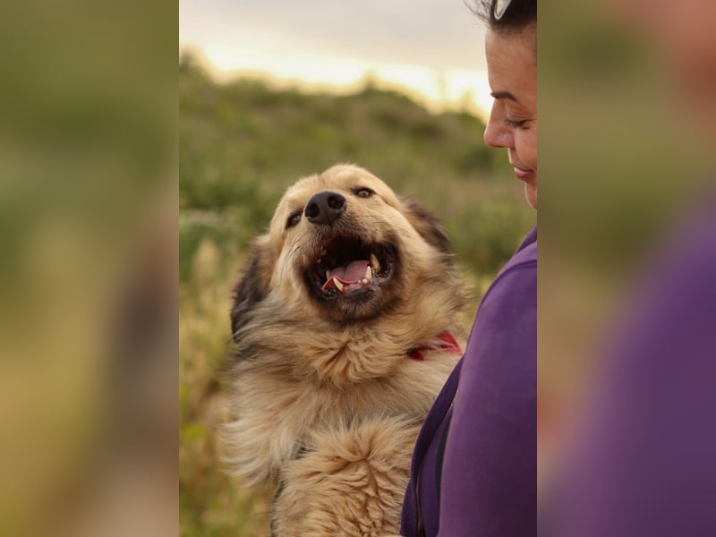 Ringo - der Charmeur