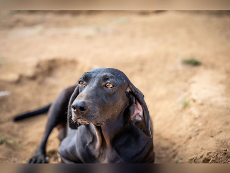 Mereda - aktiv und liebevoll