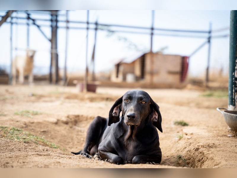 Mereda - aktiv und liebevoll