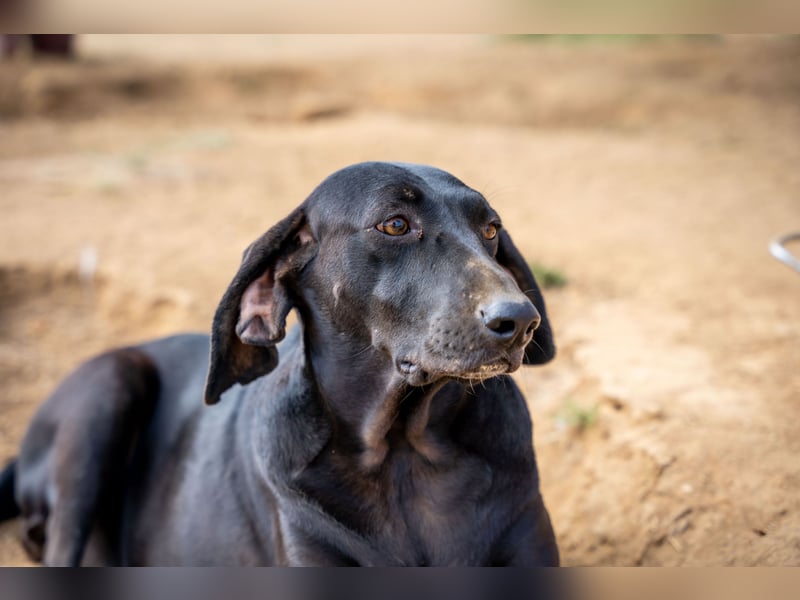 Mereda - aktiv und liebevoll