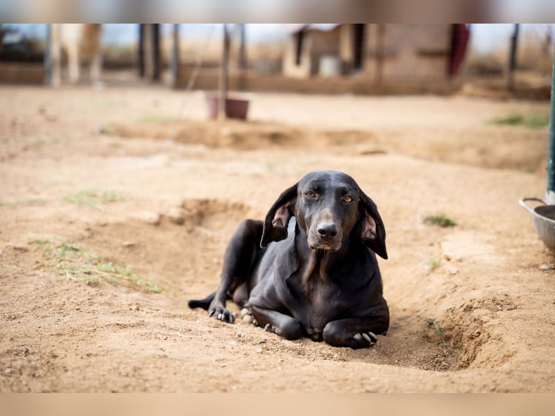 Mereda - aktiv und liebevoll